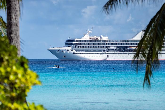 The m/s Paul Gauguin cruise ship seen through the palms in Rangiroa